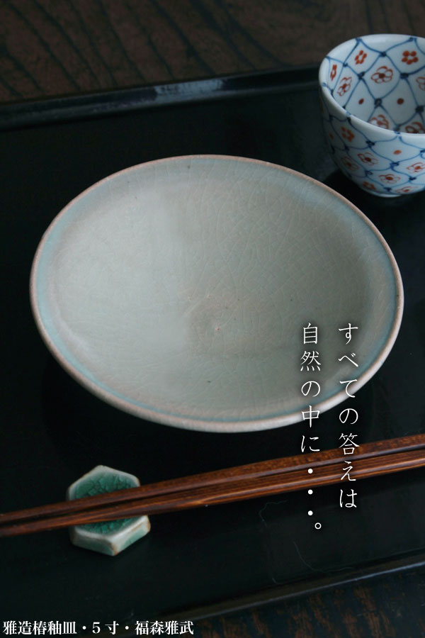 伊賀焼：雅造椿釉皿・5寸・土楽：福森雅武