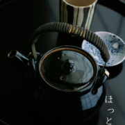 伊賀焼：つや黒土瓶・丸・杉本寿樹