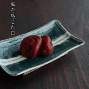 4.5×2.5寸長角皿・中線緑・杉本太郎