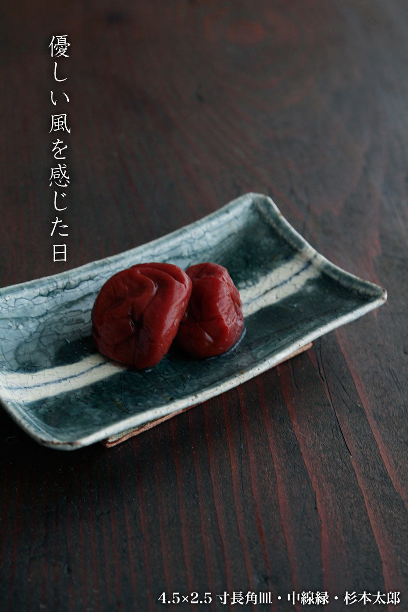 4.5×2.5寸長角皿・中線緑・杉本太郎 4.5×2.5寸長角皿・中線緑・杉本太郎