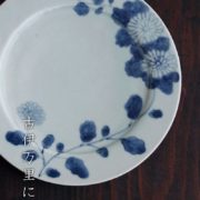 菊花文6寸平皿・藤塚光男