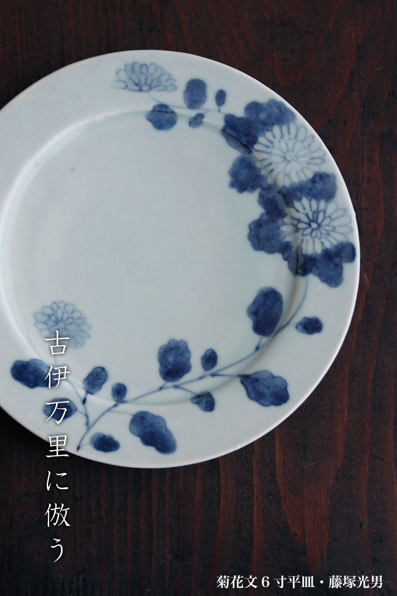 菊花文6寸平皿・藤塚光男 菊花文6寸平皿・藤塚光男