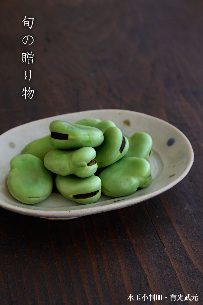 水玉小判皿・有光武元 水玉小判皿・有光武元