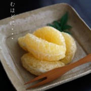 灰釉15.5cm角皿・有松進