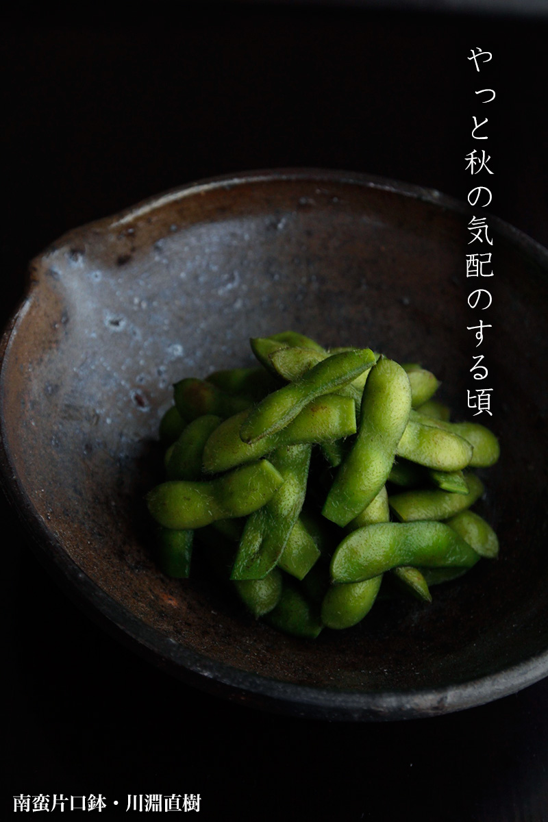 南蛮片口鉢・b6312・川淵直樹 南蛮片口鉢・b6312・川淵直樹