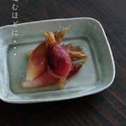 灰釉ビードロ角皿13×10cm・有松進