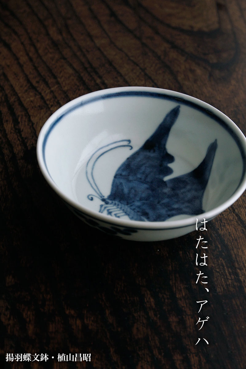 揚羽蝶文鉢・植山昌昭 揚羽蝶文鉢・植山昌昭