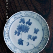 菊花文6寸皿・藤塚光男
