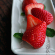 白磁四方長皿・小・藤塚光男