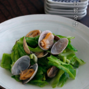 白磁7寸平鉢・長森慶