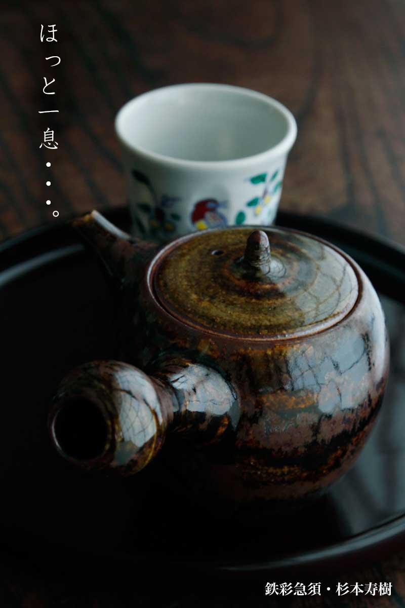 鉄彩急須・杉本寿樹 鉄彩急須・杉本寿樹