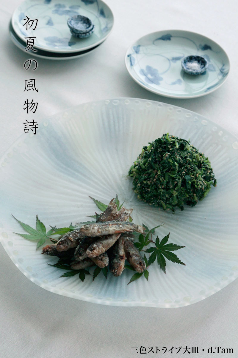 三色ストライプ大皿・d.Tam