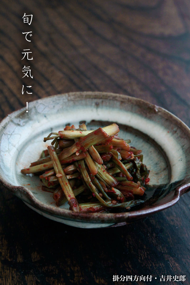 掛分四方向付・吉井史郎