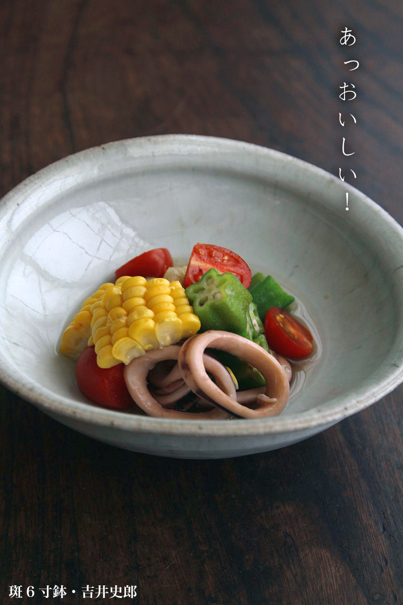 斑6寸鉢・吉井史郎 斑6寸鉢・吉井史郎