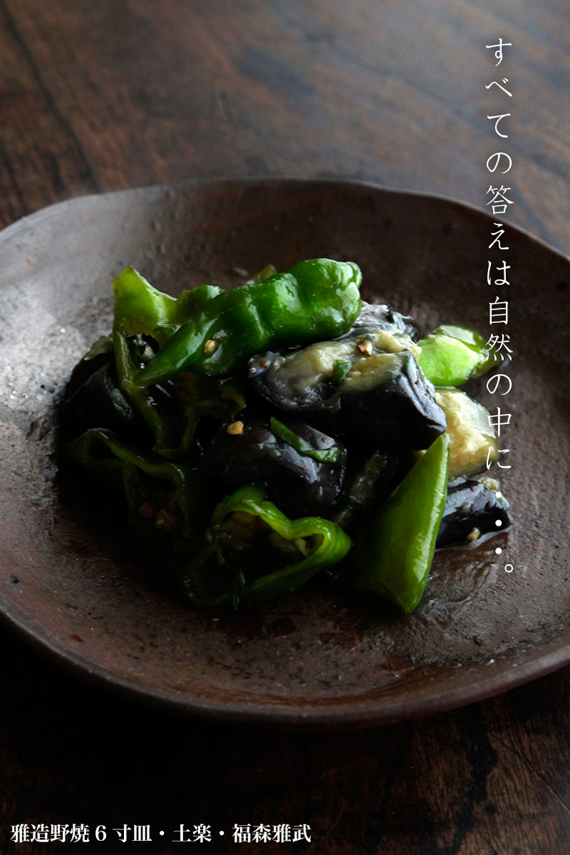 雅造野焼6寸皿・土楽・福森雅武 雅造野焼6寸皿・土楽・福森雅武
