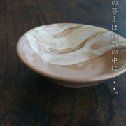 雅造山紋様絵皿・福森雅武