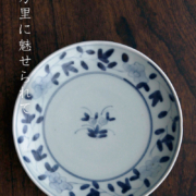 花唐草6寸皿・藤塚光男