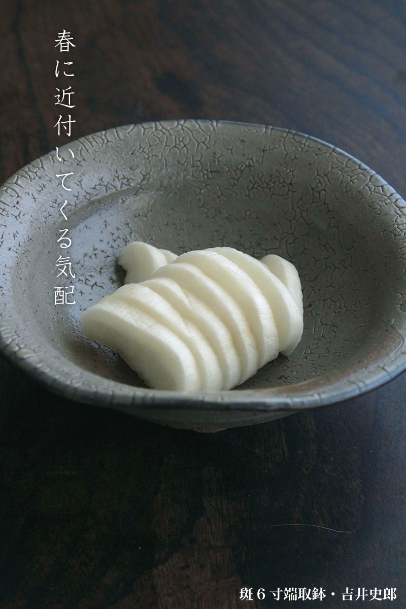 斑6寸端取鉢・吉井史郎 斑6寸端取鉢・吉井史郎