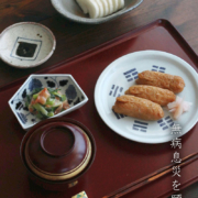 【一汁一菜・器替わり】File No.12　白玉だんご