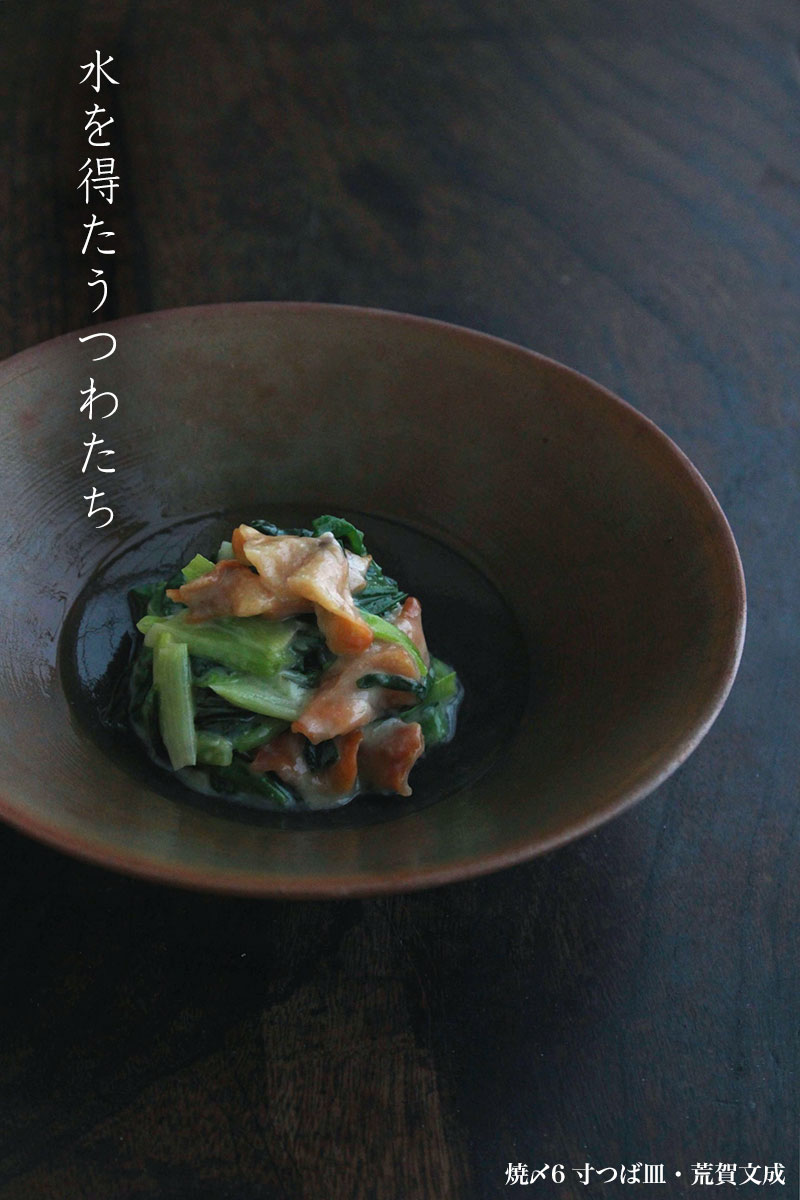 焼〆6寸つば皿・荒賀文成