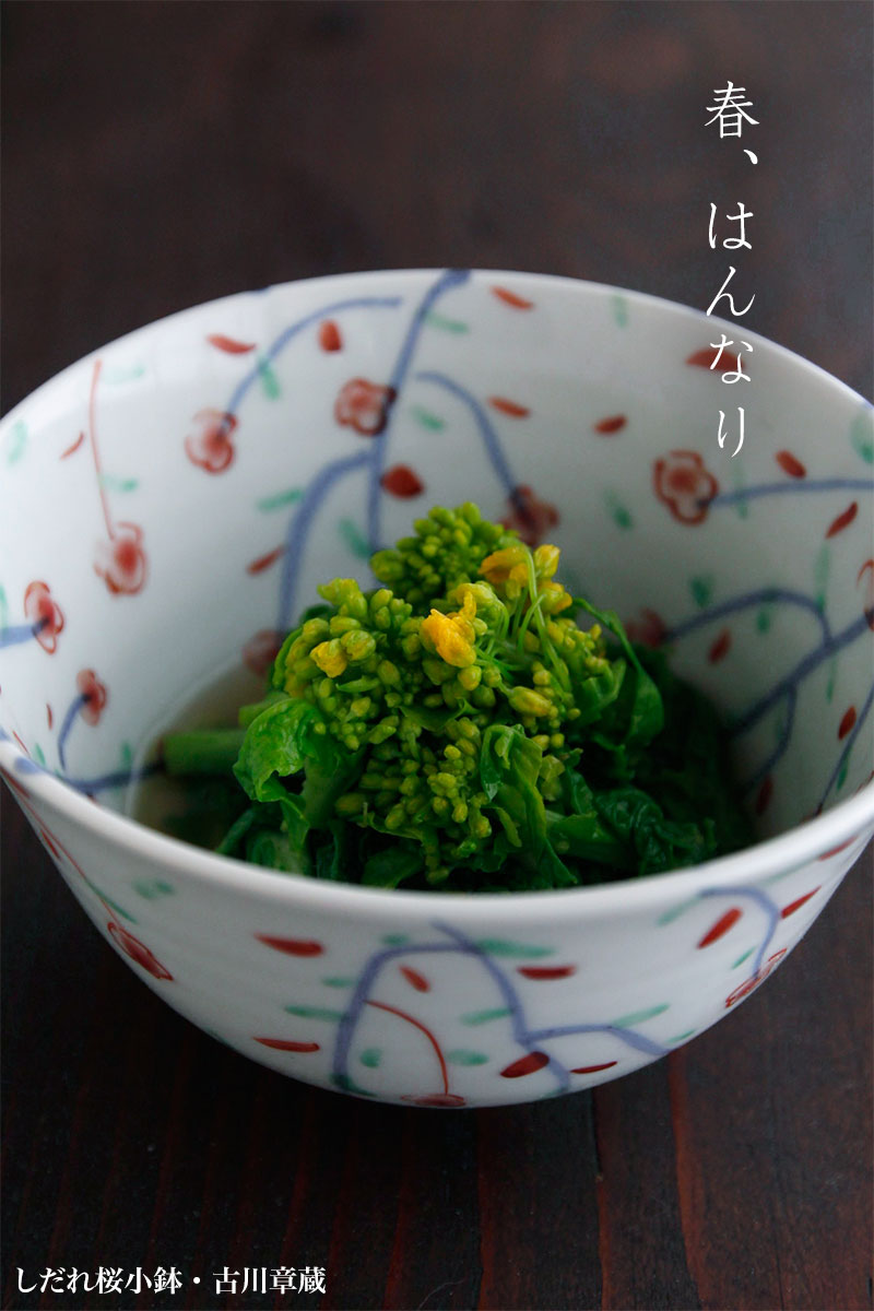 しだれ桜小鉢・古川章蔵