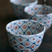 天啓赤絵花網文茶碗・須田菁華