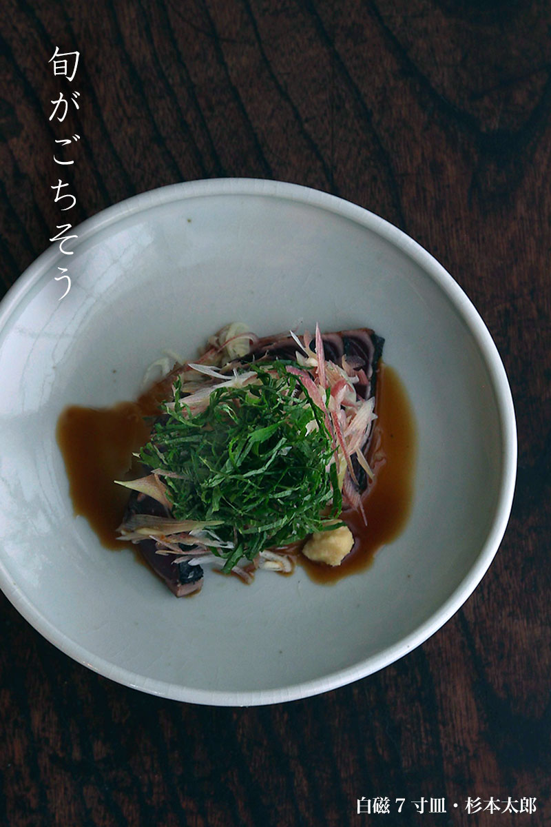 白磁7寸皿・杉本太郎