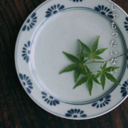 印判手菊花文6.5寸皿・藤塚光男