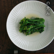 白磁しのぎ6寸深皿・阿部春弥