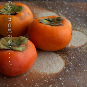 雅造焼〆皿・大・土楽・福森雅武