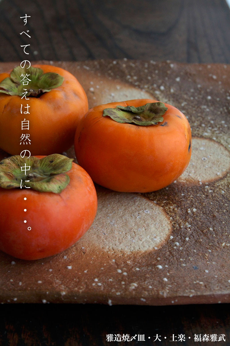 雅造焼〆皿・大・土楽・福森雅武 雅造焼〆皿・大・土楽・福森雅武