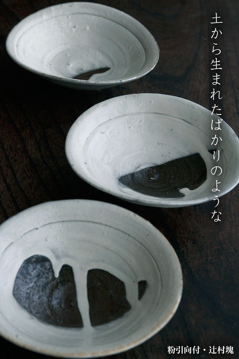 粉引向付・辻村塊