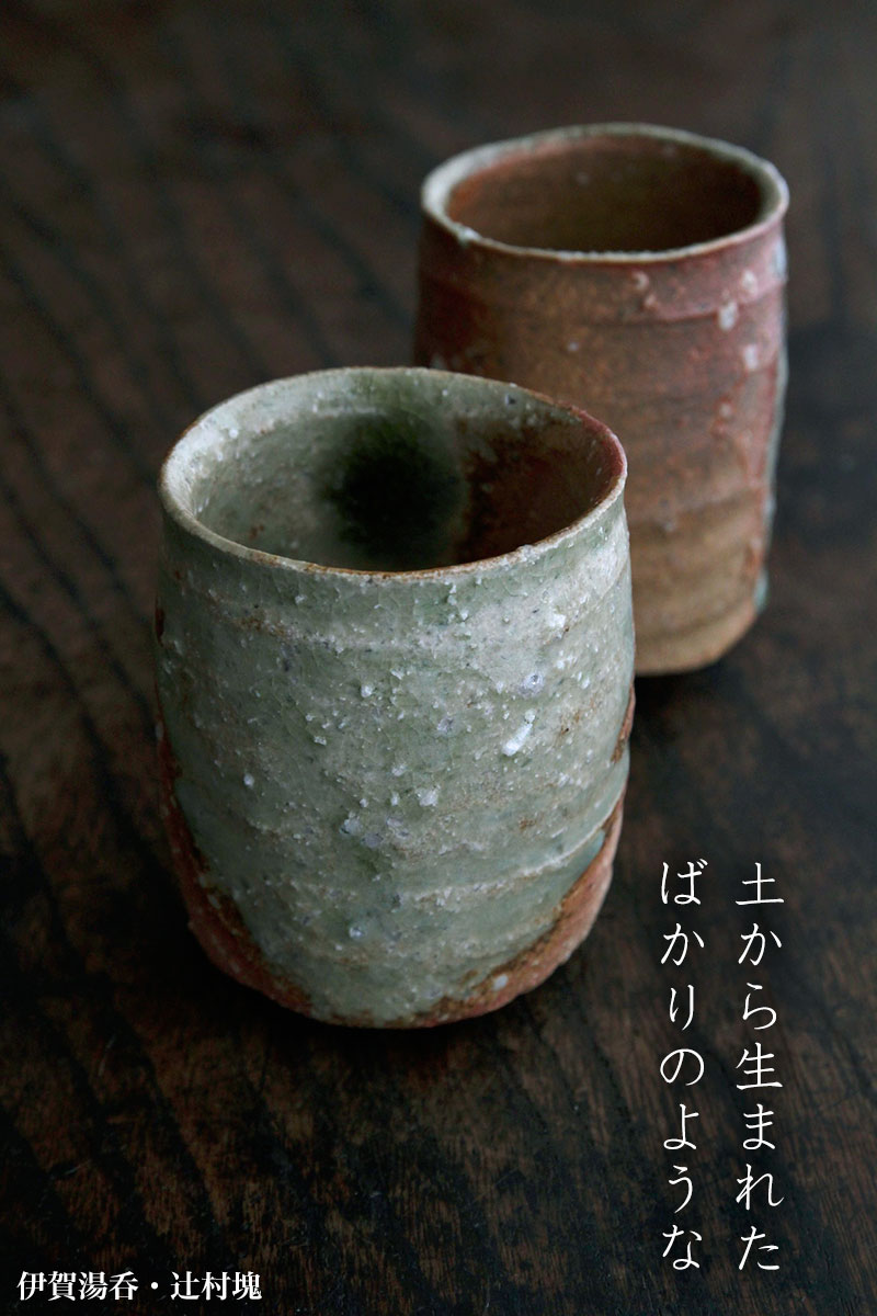 伊賀湯呑・辻村塊
