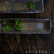 焼〆長皿・小・辻村塊