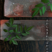 焼〆長皿・辻村塊