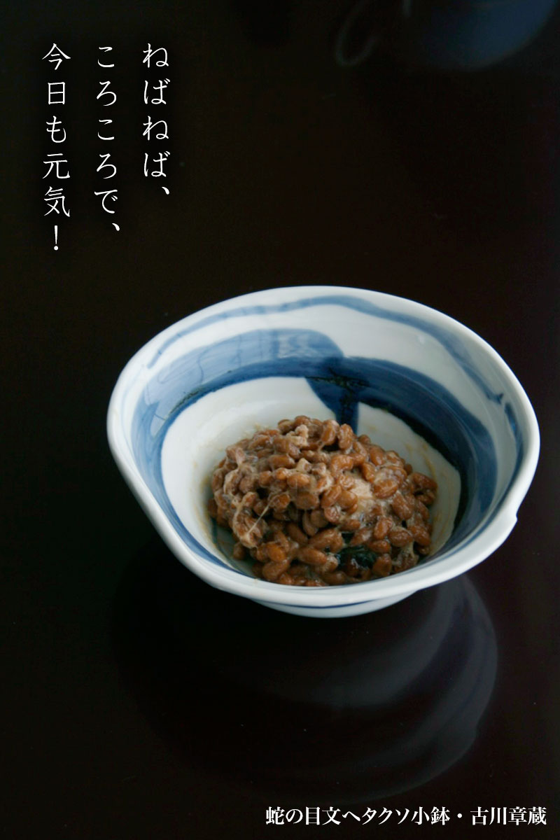 蛇の目文ヘタクソ小鉢・古川章蔵