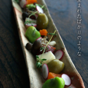 伊賀焼：伊賀長皿・辻村塊