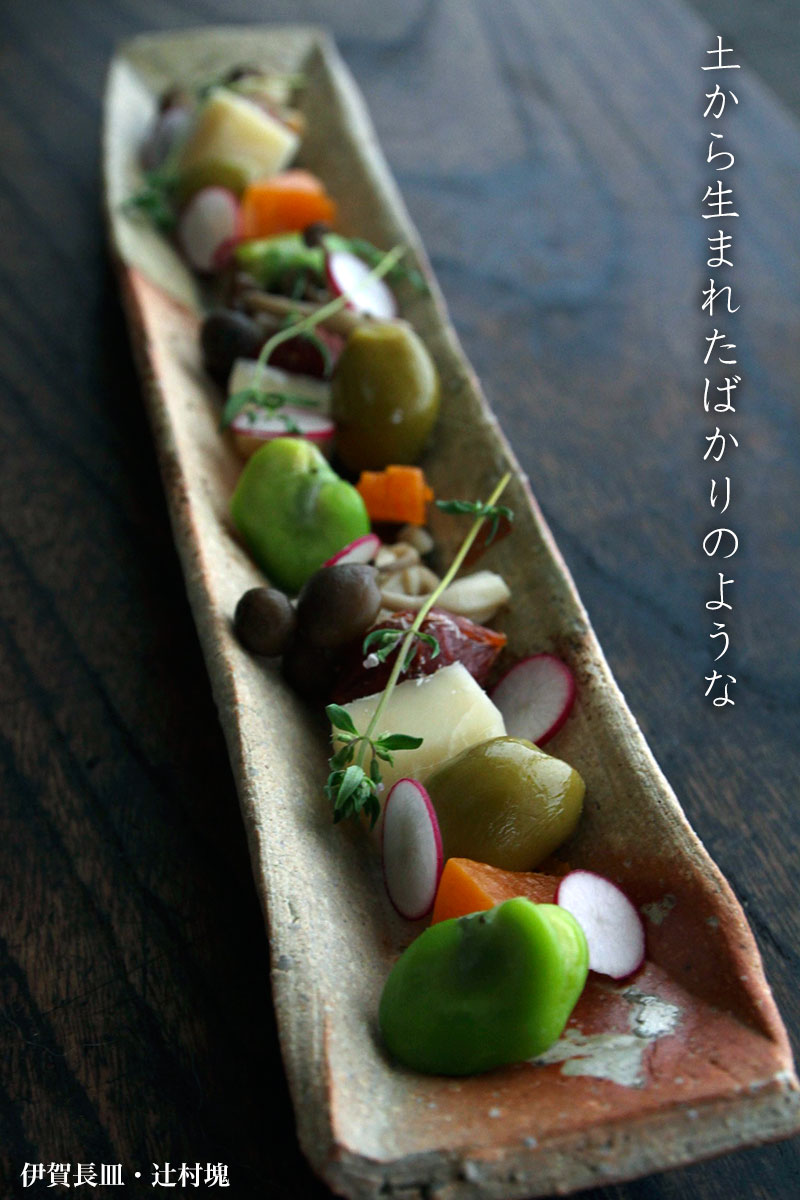 伊賀焼：伊賀長皿・辻村塊