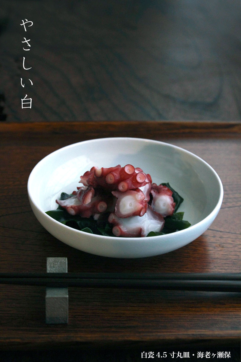 白磁（天草陶石）・白瓷4.5寸丸皿・海老ヶ瀬保