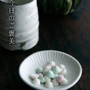 白磁：白磁楕円豆皿・阿部春弥