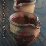 信楽焼：信楽片口・辻村塊