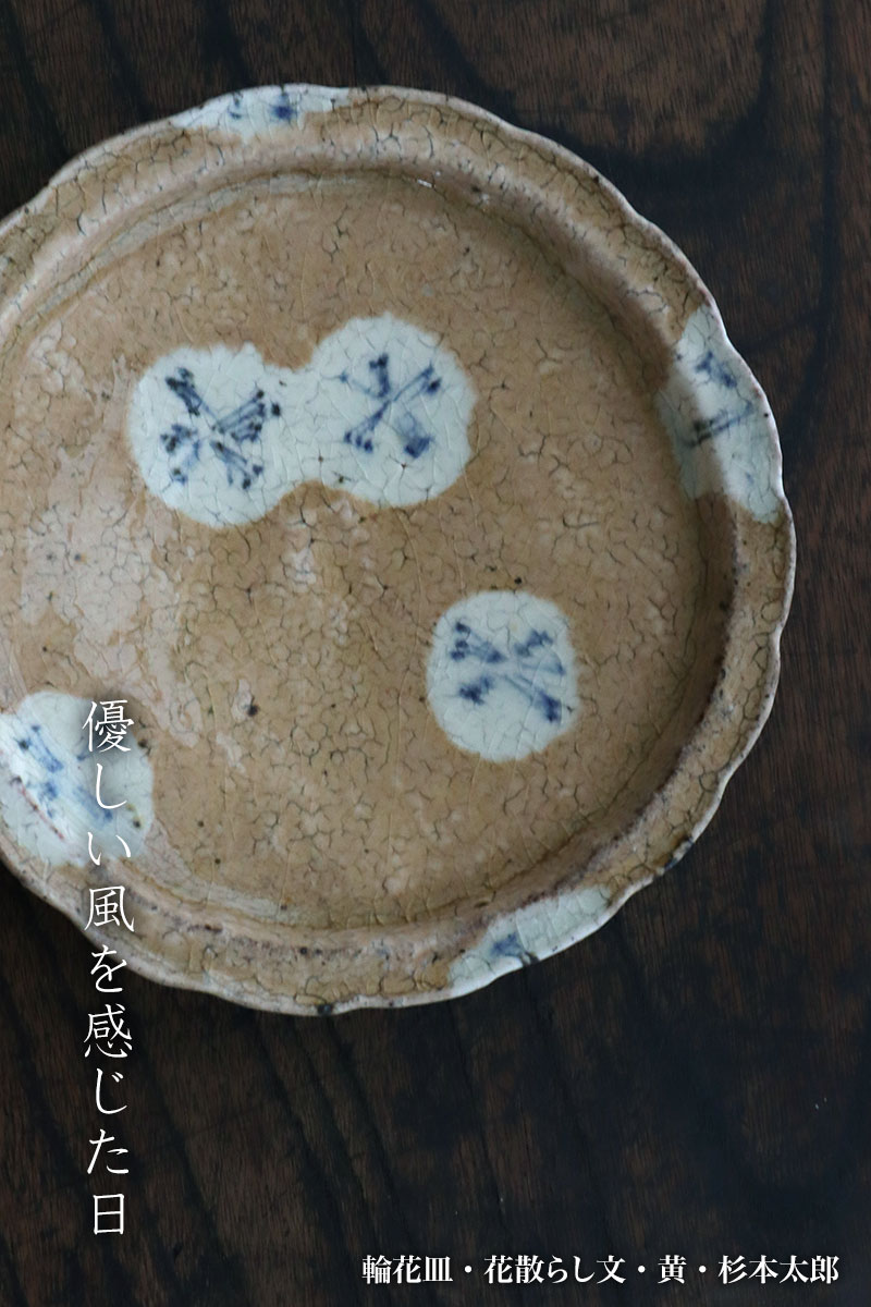 img_8099_666_680 輪花皿・花散らし文・黄・杉本太郎