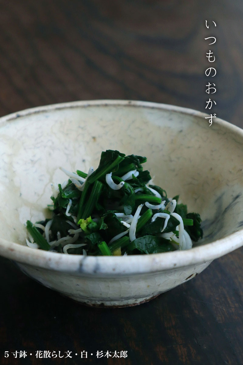 5寸鉢・花散らし文・白・杉本太郎