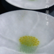 ガラス：薄皿・椿・16.5cm・d.tam