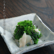 粉引：粉引向付・角・深・辻村塊