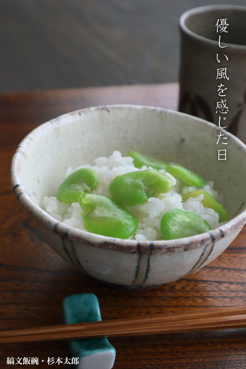 縞文飯碗・杉本太郎