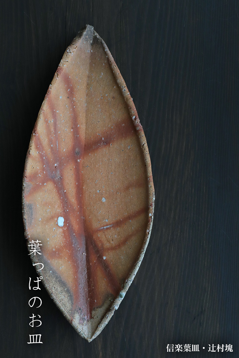 信楽焼：信楽葉皿・辻村塊