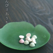 薄皿・蓮・d.tam