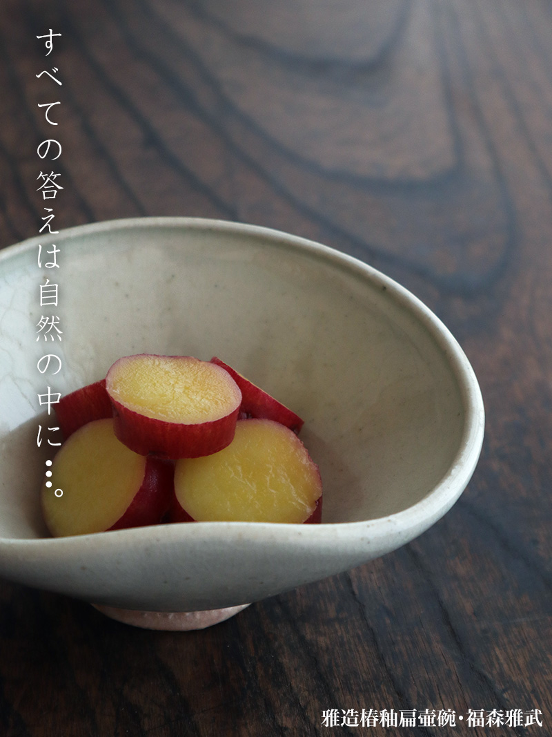 伊賀焼:雅造椿釉扁壷碗・福森雅武 伊賀焼:雅造椿釉扁壷碗・福森雅武