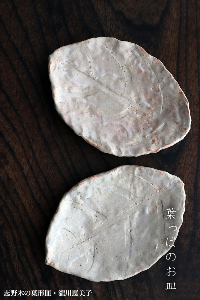 志野焼:志野木の葉形皿・瀧川恵美子 志野焼:志野木の葉形皿・瀧川恵美子